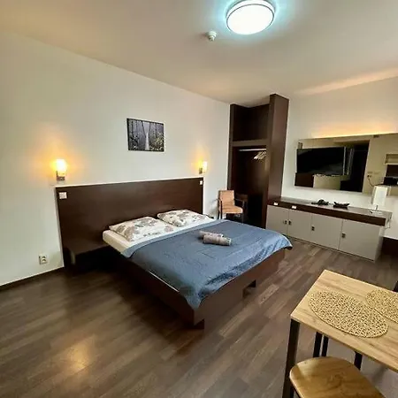 Priamo Na Hlavnej Ulici Apartament Koszyce